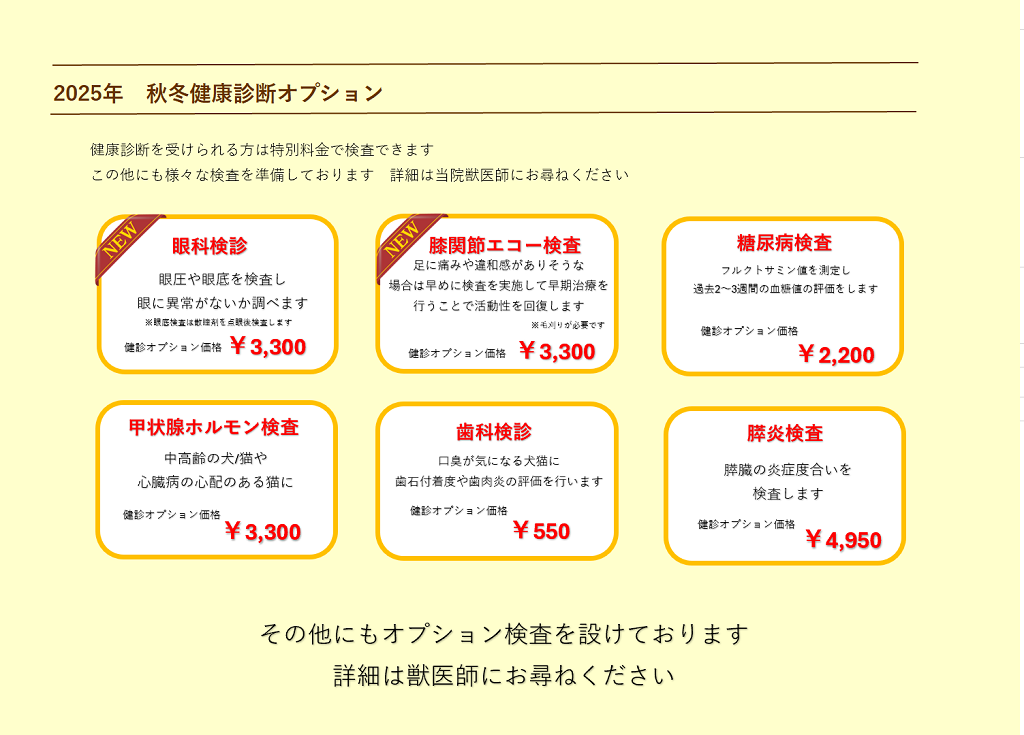 2025年秋冬健診オプション案内 (2).png