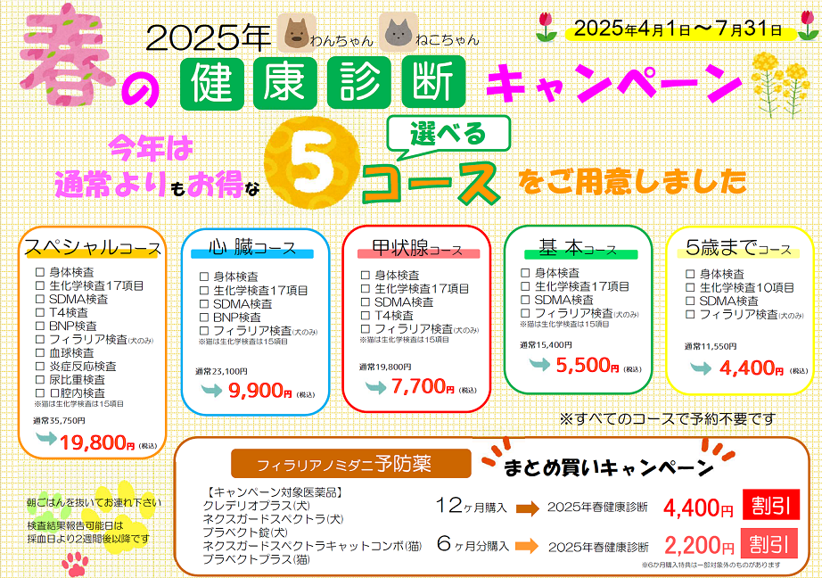 2025年春健康診断案内4.png