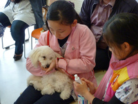 P1070009.jpg
