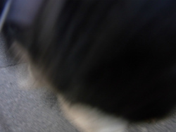 RIMG0049.jpg