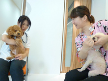 P1080418.jpg