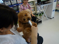 P1080480.jpg