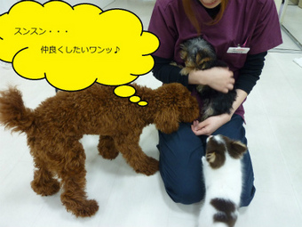らくがき.jpg