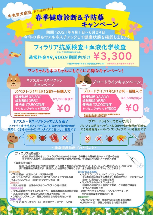 春チラシ75.jpg