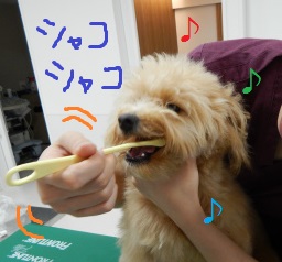 DSCN0754.jpg