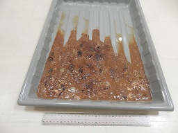 DSCN5450.jpg