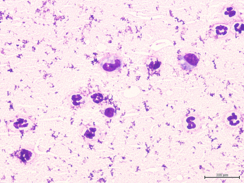 L3060008.JPG