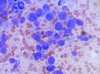 RIMG1258.jpg