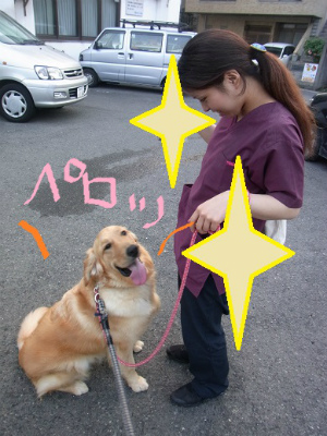 saku.jpg