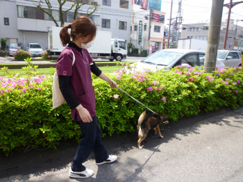 P1150443.jpg