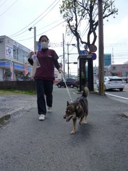 P1150445.jpg