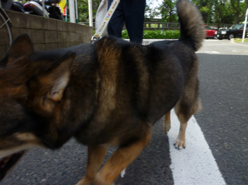 P1150446.jpg