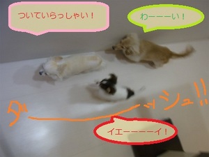 RIMG0783.jpg