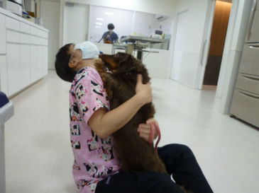 P1160338.jpg