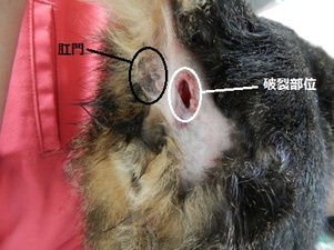 DSCN0117.jpg
