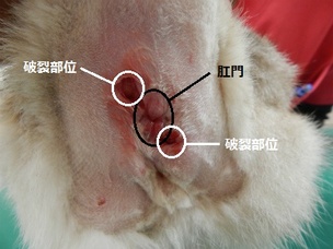 DSCN0137.jpg