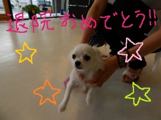 DSCN0245.jpg