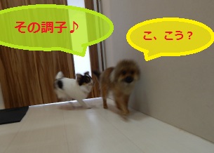 DSCN0581.jpg