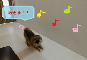 DSCN0587.jpg
