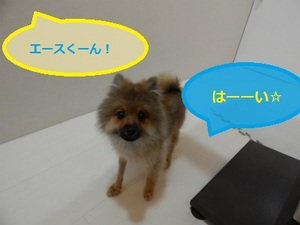 DSCN0593.jpg