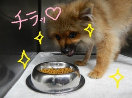 DSCN0613.jpg
