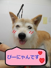 DSCN0617.jpg