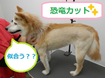 DSCN0630.jpg