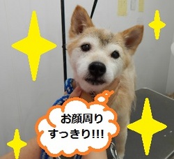 DSCN0632.jpg