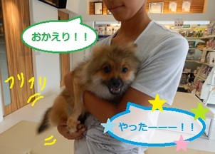DSCN0674.jpg
