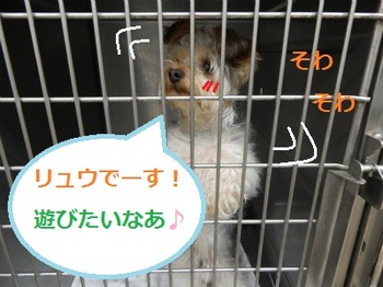 DSCN0709.jpg
