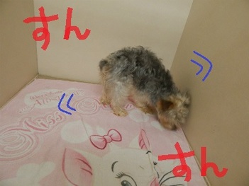 DSCN0712.jpg