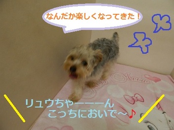 DSCN0713.jpg