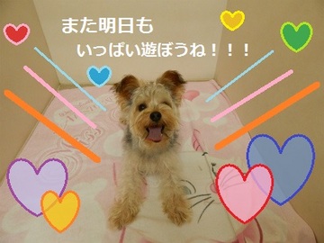 DSCN0728.jpg