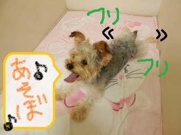DSCN0730.jpg