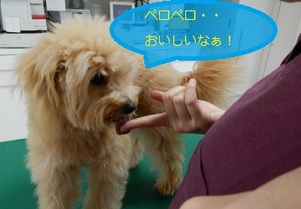 DSCN0741.jpg
