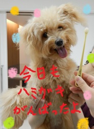 DSCN0757.jpg