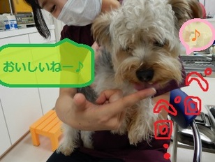 DSCN0795.jpg