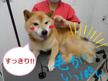 DSCN0819.jpg