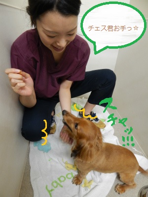 DSCN0875.jpg