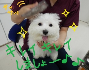 DSCN0892.jpg