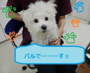 DSCN0894.jpg