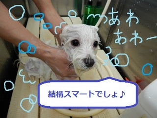 DSCN0897.jpg