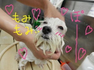 DSCN0902.jpg