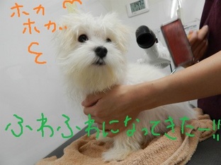 DSCN0905.jpg