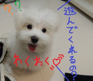 DSCN0935.jpg