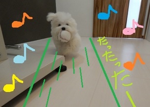 DSCN0943.jpg