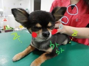 DSCN0979.jpg