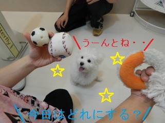 DSCN1004.jpg