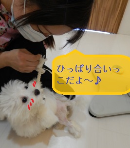 DSCN1012.jpg