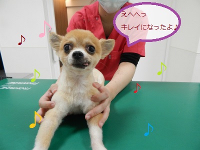 DSCN1029.jpg